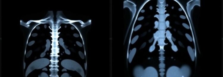 Универсальный онлайн DICOM-вьюер: как выбрать, внедрить и использовать правильно